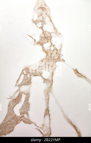 Unusual texture of white marble with brown and beige veins, cracks and scratches. Polished surface, vertical image. Stock Photo
