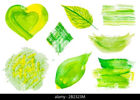 Set of green vector watercolor design elements Stock Vector