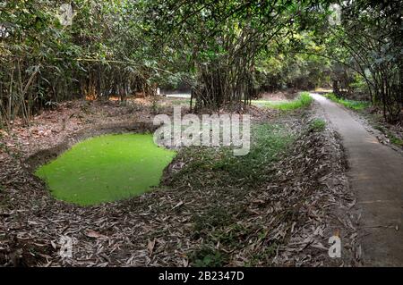 village landscape Stock Photo