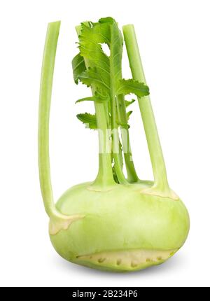 Green Kohlrabi isolated on white, Kohlrabi clipping path Stock Photo