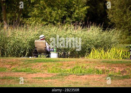 A freshwater angler fishing for carp on a summer's day Stock Photo