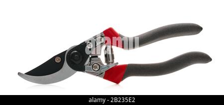 garden tool secateur with clipping path on white isolated background Stock Photo