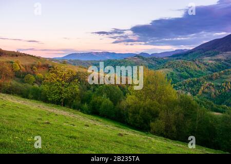 rural landscape in mountains at dusk. amazing view of carpathian countryside with fields and trees on rolling hills. glowing purple clouds on the sky.