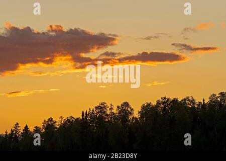 Golden Clouds over Silhouetted Trees on Caribou Lake in The Boundary Waters in Minnesota Stock Photo