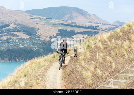 Cyclist on Greenwood Track in Tauhinukorokio Scenic Reserve at Top of Summits Road, Sumner, Christchurch, Canterbury, New Zealand