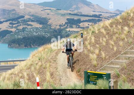 Cyclist on Greenwood Track in Tauhinukorokio Scenic Reserve at Top of Summits Road, Sumner, Christchurch, Canterbury, New Zealand