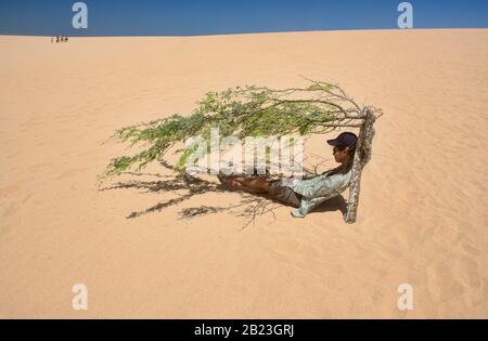 The only shade in the desert, Punta Gallinas, northern tip of South America, Guajira Peninsula, Colombia Stock Photo