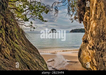 Split Apple Beach, Tasman Bay, Ngaio Island in distance, near Kaiteriteri, Tasman District, South Island, New Zealand Stock Photo