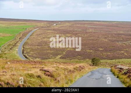 A long stretch of narrow road from  Rosedale towards Egton Bridge cuts through acres of pink heather in the North York Moors National Park, North York Stock Photo