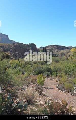 A hiking trail through the mountainous, desert landscape in Superior, Arizona, USA Stock Photo