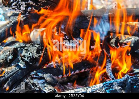 Firewood burning in the fire Stock Photo