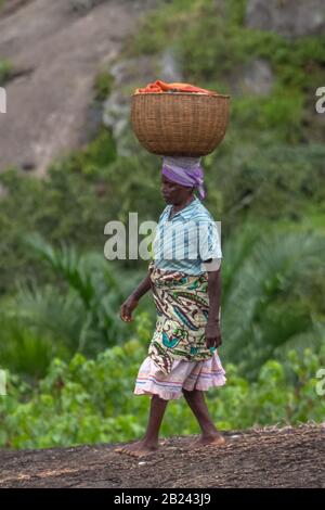 Sumbe / Angola - 02 25 2020: View of typical African elderly woman carrying wicker basket on her head, in the interior of Angola, wearing traditional Stock Photo