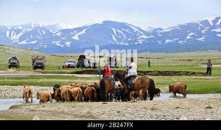 Mongolian lifestyle, Nomadic lifestyle in Western Mongolia Stock Photo ...