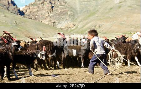 Mongolian lifestyle, Nomadic lifestyle in Western Mongolia Stock Photo