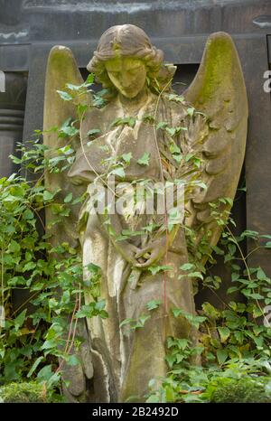 Female angel figure, praying, with star on the crown, surrounded by climbing plant, historical tomb, cemeteries at Bergmannstrasse, Berlin-Kreuzberg Stock Photo