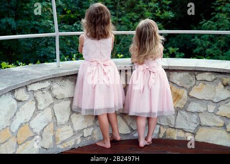 6 years old, 3 years old, two girls, siblings, view from behind, Czech Republic Stock Photo