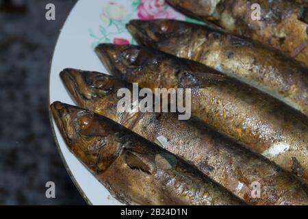 Smoked fresh fish mackerel lies hot on a ceramic plate Stock Photo
