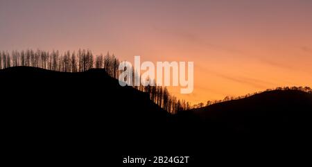 Silhouette of forest at sunset with the sun setting behind the mountains of Tamadaba in Gran Canaria (Spain). Nature concept. Nature concept Stock Photo