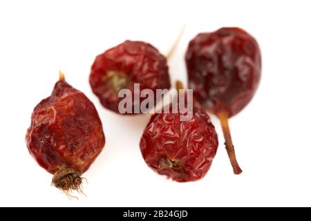 Four dried rose hips isolated on white Stock Photo