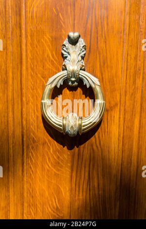 Closed wooden vintage door with golden old knocker in hot summer time. Vignette look. Vintage background. Stock Photo