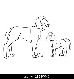 Cute carton saluki dog and puppy breed lineart vector clipart. Pedigree kennel doggie for dog lovers. Purebred domestic pet for pet parlor Stock Vector