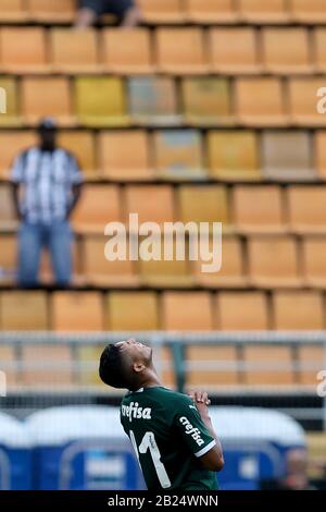 Santos x Palmeiras: informações, estatísticas e curiosidades – Palmeiras