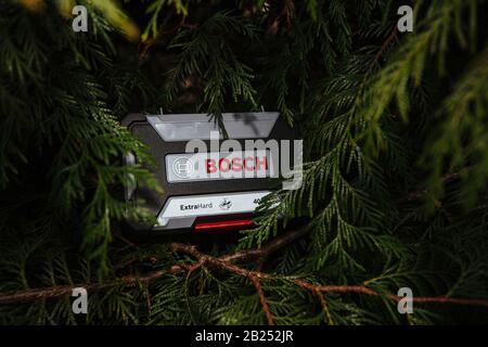 Paris, France - Feb 23, 2020: View in the garden tree Arborvitae Thuya occidental of new package for Bosch professional cordless screwdriver accessories pick click set 40 pieces Stock Photo