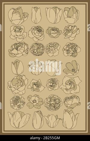 Antique botanical drawings of spring flowers.  Roses, peonies, and tulips, perfect for posters and logos. Stock Vector