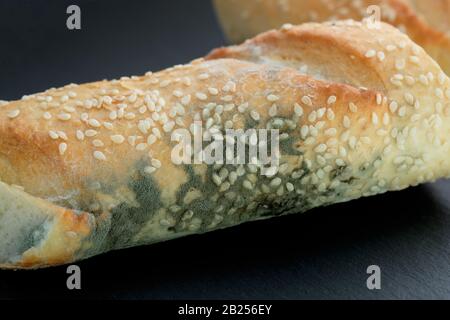 French baguette with sesame seeds mold covered. Moldy bread spoiled dry baguette. Mold on flour products close up Stock Photo Alamy