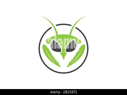 Insect killer logo, Insect logo design Stock Vector