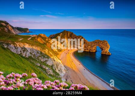 The sun goes down on the Jurassic coast and Durdle Door in Dorset with Sea Pink Thrift growing on the top of the cliff in the foreground