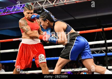 Sao Paulo, SP, Brazil. 29th Feb, 2020. Adriana Dos Santos Araujo defended her WBC Silver Super Light Title defeating Estheliz Hernandez by unanimous decision during Boxing for you 8 at Arena de Lutas in Sao Paulo, Brazil Credit: Leandro Bernardes/PX Imagens/ZUMA Wire/Alamy Live News Stock Photo