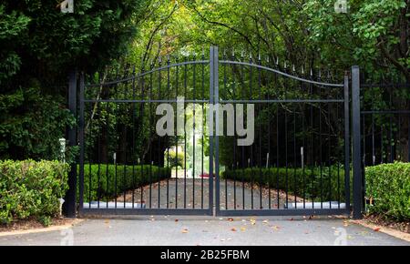 Black metal wrought iron driveway property entrance gates with lush green hedge and garden trees Stock Photo