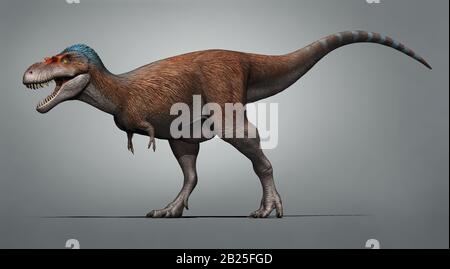 Albertosaurus sarcophagus a genus of tyrannosaurid theropod dinosaurs Stock Photo