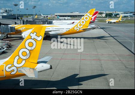 Singapore, Republic of Singapore, Model of Changi Airport Stock Photo -  Alamy