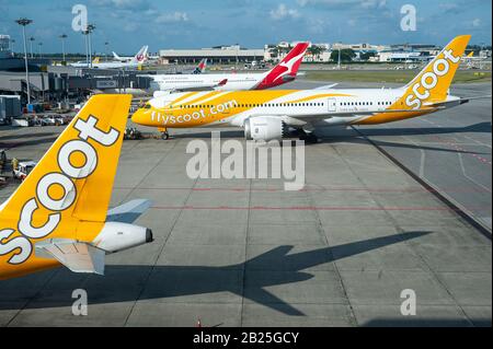 31.01.2020, Singapore, Republic of Singapore, Asia - A Scoot Airlines Boeing B787 Dreamliner passenger plane during pushback at Changi Airport. Stock Photo