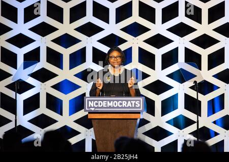 Charlotte, USA. 29th Feb, 2020. Berna Rhodes Ford speaks at the Blue NC Celebration at the Hilton Charlotte University Place Hotel on February 29, 2020 in Charlotte, North Carolina. Credit: The Photo Access/Alamy Live News Stock Photo