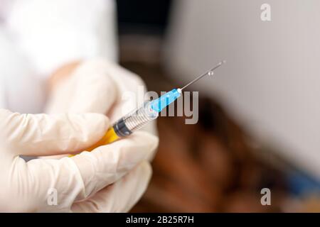 veterinary ambulance.veterinarian doctor is preparing to give an injection to a sick dog. Stock Photo