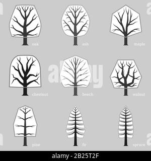 Monochrome collection of simple and popular trees. Stock Vector