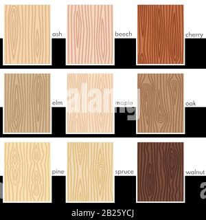Wood panels of various colors and textures. Stock Vector
