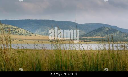 South Africa's savanna at the Pilanesberg National Park, Beautiful colours and nature Stock Photo