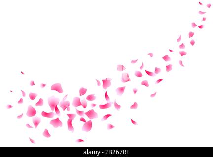 falling petals of pink roses on a white background Stock Vector