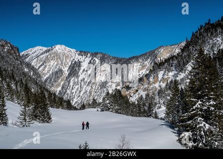 Two men ski tour through the Vallée des Avals near the French alpine resort of Courchevel after fresh snowfall on a sunny day.