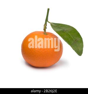 Single mandarin fruit with leaf isolated on white background Stock Photo