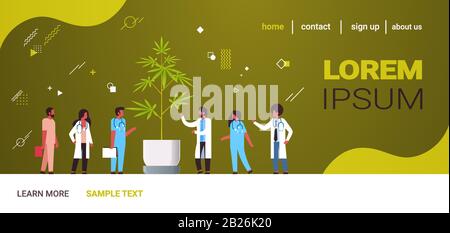mix race doctors team examining marijuana leaves cannabis plant in pot medical research medicine healthcare concept drugs consumption horizontal copy space full length vector illustration Stock Vector