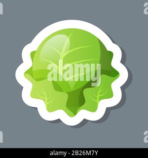 fresh green cabbage iceberg lettuce sticker tasty vegetable icon healthy food concept vector illustration Stock Vector