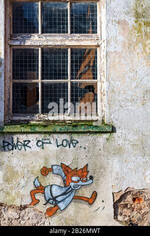 Graffiti on wall of a fox with a window pane, spray paint art, derelict building Stock Photo