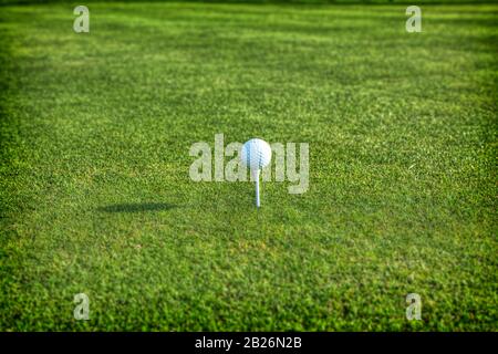 Single golf ball balanced on a white tee, with lush green grass at the tee box, with a long shadow Stock Photo