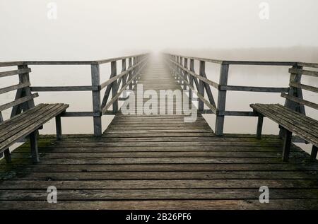 Lake 'Federsee' in Bad Buchau, Germany. Wooden boardwalk and benches in the early morning with strong fog Stock Photo