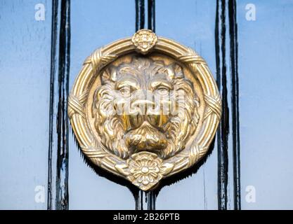 Large Brass Lion head knocker on Black door Stock Photo